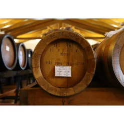 Acetaia Sereni - Exclusive Experience - Guided Tour - Tasting - Balsamic Vinegar of Modena D.O.P. - 2 Days 1 Night - Avvenice