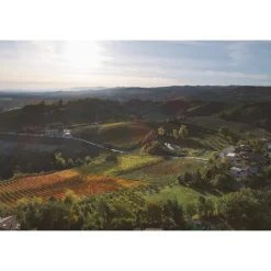 Acetaia Sereni - Exclusive Experience - Guided Tour - Tasting - Balsamic Vinegar of Modena D.O.P. - 2 Days 1 Night - Avvenice