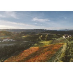 Acetaia Sereni - Exclusive Experience - Guided Tour - Tasting - Balsamic Vinegar of Modena D.O.P. - 4 Days 3 Nights - Avvenice