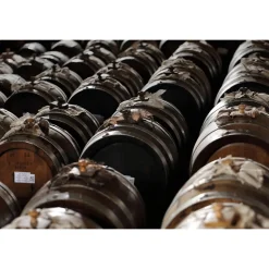 Acetaia Sereni - Exclusive Experience - Guided Tour - Tasting - Balsamic Vinegar of Modena D.O.P. - 4 Days 3 Nights - Avvenice