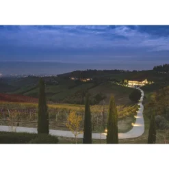 Acetaia Sereni - Exclusive Experience - Guided Tour - Tasting - Balsamic Vinegar of Modena D.O.P. - 4 Days 3 Nights - Avvenice