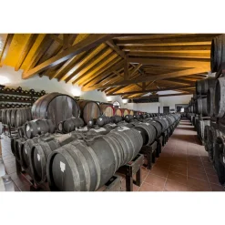 Acetaia Sereni - Exclusive Experience - Guided Tour - Tasting - Balsamic Vinegar of Modena D.O.P. - 4 Days 3 Nights - Avvenice