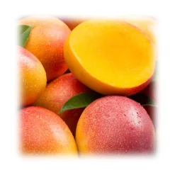 Alessio Brusadin - Apricot, Mango and Madagascar Vanilla Jam - The Special Jams - Sweet Artisan Compotes - Avvenice