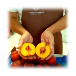 Alessio Brusadin - Peaches, Papaya and Lemongrass Jam - The Special Jams - Sweet Artisan Compotes - Avvenice