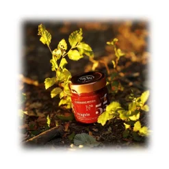 Alessio Brusadin - Strawberries and Rhubarb "Brusadina" - Sweet Artisan Compotes - Avvenice