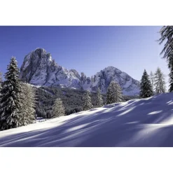 Alpenroyal Grand Hotel - Alpenroyal Suite - 3 Days 2 Nights - Exclusive Luxury - Val Gardena - Trentino Italy - Avvenice
