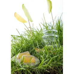 Amistà 33 - Chef Marco Perez - Menù Amistà - Short Walk - Avvenice