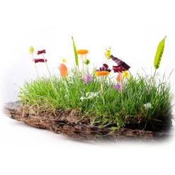 Amistà 33 - Chef Marco Perez - Menù Amistà - Avvenice