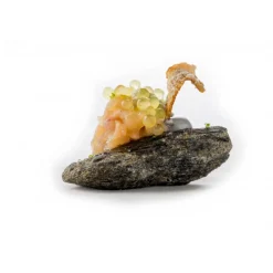 Amistà 33 - Chef Marco Perez - Menù Amistà with Wines - Short Walk - Avvenice