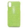 Ammoment - Stingray in Light Green - Leather Cover - iPhone X - Avvenice