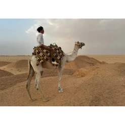 Anantara Sahara Tozeur Resort - Saharan Desert - Star Wars - Royal Villa - 5 Days 4 Nights - Tunisia - Exclusive Luxury - Avvenice