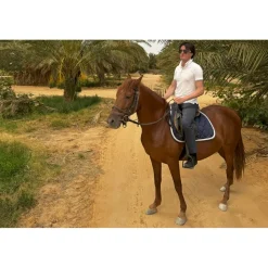 Anantara Sahara Tozeur Resort - Saharan Desert - Star Wars - Deluxe Suite - 5 Days 4 Nights - Tunisia - Exclusive Luxury - Avvenice