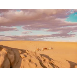 Anantara Sahara Tozeur Resort - Saharan Desert - Star Wars - Pool Villa - 5 Days 4 Nights - Tunisia - Exclusive Luxury - Avvenice