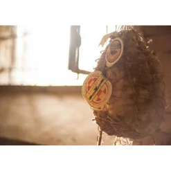 Antica Corte Pallavicina Relais - Discovering Corte Pallavicina - 2 Days 1 Night - Massimo Spigaroli - Culatello of Zibello - Avvenice