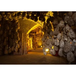 Antica Corte Pallavicina Relais - Discovering Corte Pallavicina - 2 Days 1 Night - Massimo Spigaroli - Culatello of Zibello - Avvenice