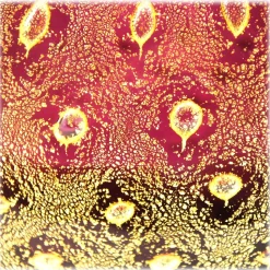 Ars Cenedese Murano - Bollinato Bown 24k Gold - Ruby - Handcrafted Venetian Vase Handmade by Venetian Glassmasters - Luxury - Avvenice