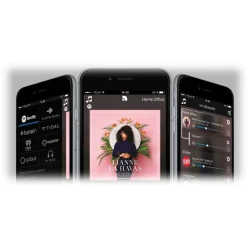 Audio Pro - A40 Anniversary Limited Edition Model - Black - High Quality Speaker - Bluetooth 5.0 - Wireless - USB - Avvenice