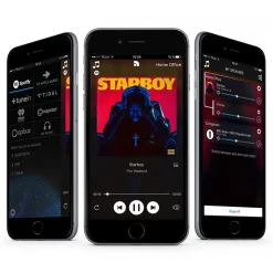 Audio Pro - Addon C5 - Grey - High Quality Speaker - WLAN Multi-Room - Airplay, Stereo, Bluetooth, Wireless, WiFi - Avvenice