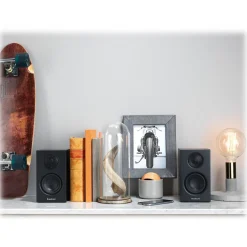 Audio Pro - Addon T8L - Black - High Quality Speaker - Powered Wireless Mini Speaker - HiFi - USB, Stereo, Bluetooth, Wireless - Avvenice