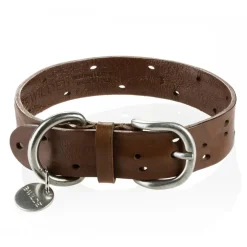 B Wilde Collection - Domino Collar - Olive - Domino Collection - Leather Collar - High Quality Luxury - Avvenice