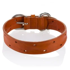 B Wilde Collection - Domino Collar - Biscuit - Domino Collection - Leather Collar - High Quality Luxury - Avvenice