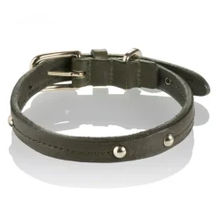 B Wilde Collection - Milo Collar - Olive - Milo Collection - Leather Collar - High Quality Luxury - Avvenice