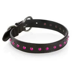 B Wilde Collection - Set Cabo - Collar & Leash - Pink - Cabo Collection - Leather Collar - High Quality Luxury - Avvenice