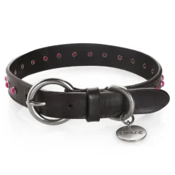 B Wilde Collection - Set Cabo - Collar & Leash - Pink - Cabo Collection - Leather Collar - High Quality Luxury - Avvenice