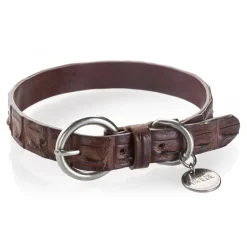 B Wilde Collection - Set Coco - Collar & Leash - Coco Collection - Crocodile Collar - High Quality Luxury - Avvenice