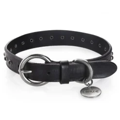 B Wilde Collection - Set Cabo - Collar & Leash - Black - Cabo Collection - Leather Collar - High Quality Luxury - Avvenice