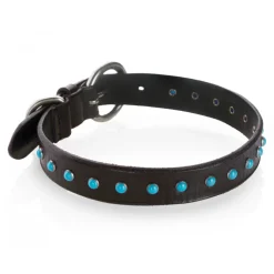 B Wilde Collection - Set Cabo - Collar & Leash - Turquoise - Cabo Collection - Leather Collar - High Quality Luxury - Avvenice