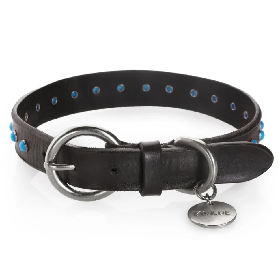 B Wilde Collection - Set Cabo - Collar & Leash - Turquoise - Cabo Collection - Leather Collar - High Quality Luxury - Avvenice