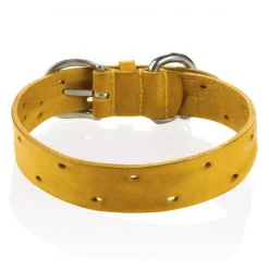 B Wilde Collection - Set Domino - Tuscany Yellow - Collar & Leash - Domino Collection - Leather Collar - High Quality Luxury - Avvenice