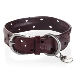B Wilde Collection - Set Domino - Bordeaux - Collar & Leash - Domino Collection - Leather Collar - High Quality Luxury - Avvenice