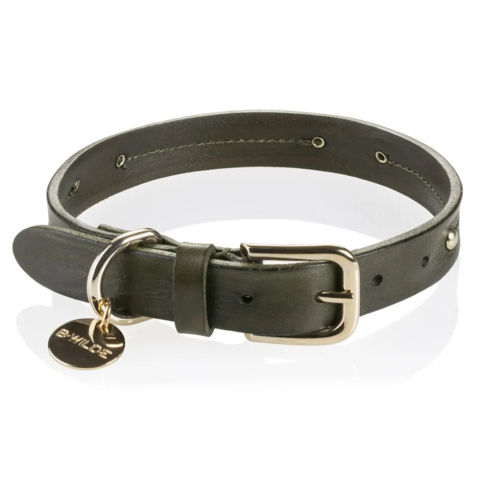 B Wilde Collection - Set Milo - Olive - Collar & Leash - Milo Collection - Leather Collar - High Quality Luxury - Avvenice