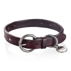 B Wilde Collection - Set Milo - Bordeaux - Collar & Leash - Milo Collection - Leather Collar - High Quality Luxury - Avvenice