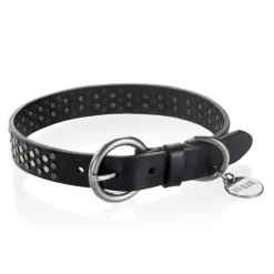 B Wilde Collection - Set Sparky - Collar & Leash - Sparky Collection - Leather Collar - High Quality Luxury - Avvenice