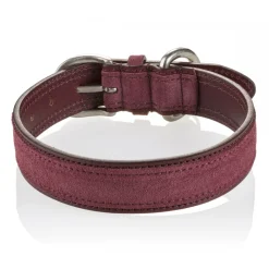 B Wilde Collection - Set Tango - Bordeaux - Collar & Leash - Tango Collection - Leather Collar - High Quality Luxury - Avvenice