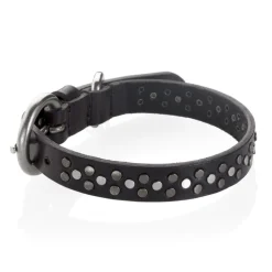 B Wilde Collection - Sparky Collar - Sparky Collection - Leather Collar - High Quality Luxury - Avvenice