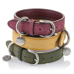 B Wilde Collection - Tango Collar - Tuscany Yellow - Tango Collection - Leather Collar - High Quality Luxury - Avvenice