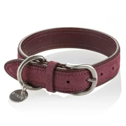 B Wilde Collection - Tango Collar - Bordeaux - Tango Collection - Leather Collar - High Quality Luxury - Avvenice
