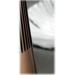 Bang & Olufsen - B&O Play - Beosound 2 with the Google Assistant - Brass Tone - High Quality Speaker - Avvenice