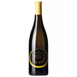 Bellavista - Curtefranca Alma Terra - Franciacorta - D.O.C. - White Wines - Luxury Limited Edition - 750 ml - Avvenice