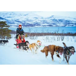 Billion Travel - Italian Wheels, Wines and Truffles - Exclusive Luxury Tour - Italy - Avvenice