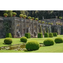 Billion Travel - Roman Castles - Through Volcanic Lakes on Ferrari for Strawberries - Exclusive Luxury Tour - Italy - Avvenice