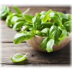 BioOrto - Organic Basil Pesto with Garlic - Organic Preserved Foods - 180 g - Avvenice