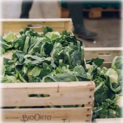 BioOrto - Organic Cauliflower Cream - Organic Preserved Foods - 180 g - Avvenice