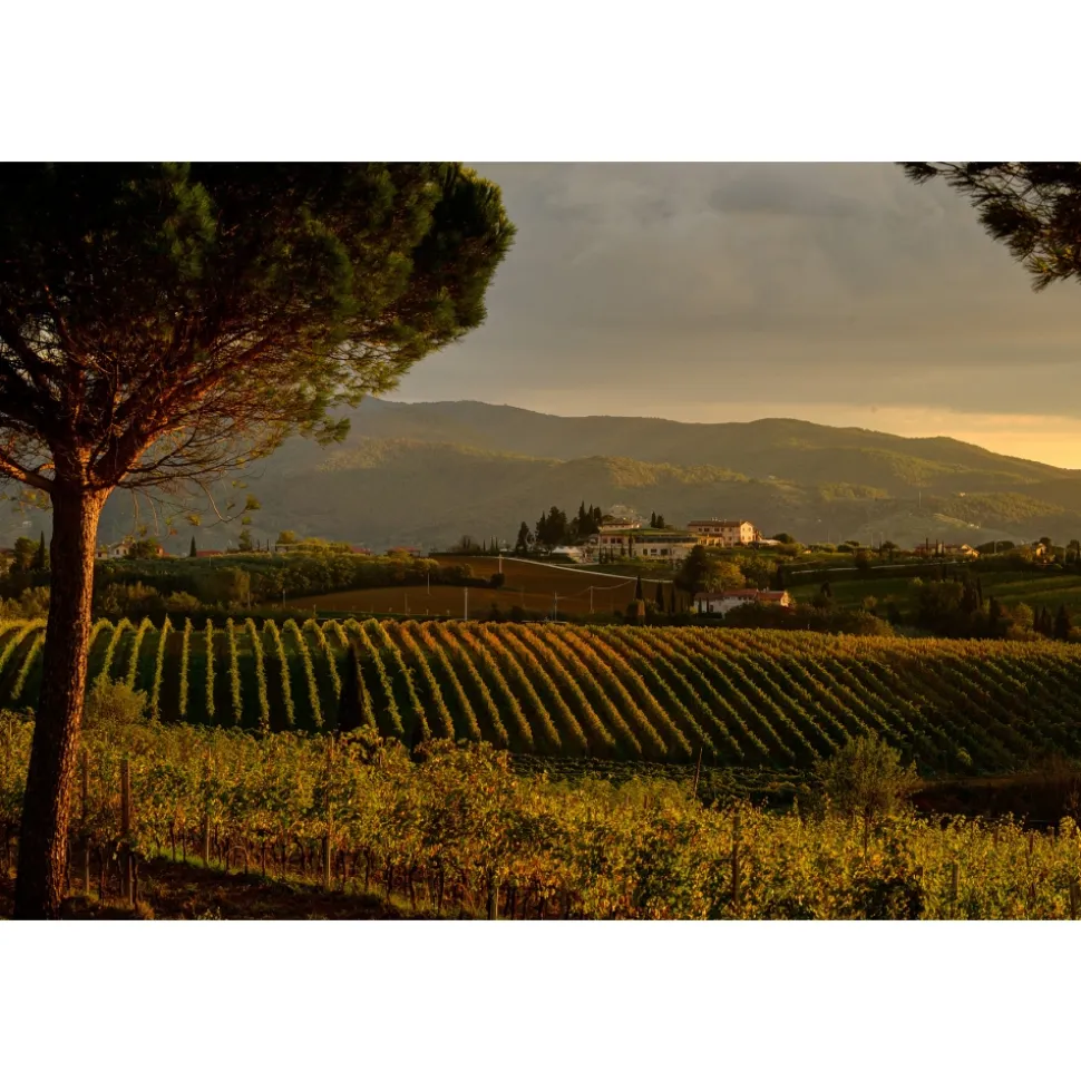 Borgobrufa SPA Resort - Imperial Emotion Suite & Spa - 3 Days 2 Nights - Perugia - Assisi - Umbria Italy - Exclusive Luxury - Avvenice