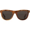 Bottega Veneta - Acetate Classic D Frame Sunglasses - Amber Radica Gray - Sunglasses - Bottega Veneta Eyewear - Avvenice