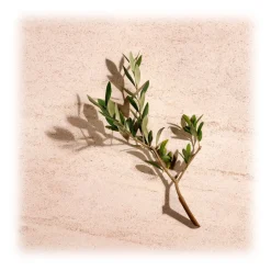 Bottega Veneta - Illusion For Her - Eau de Parfum - Italy - Beauty - Fragrances - Luxury - 30 ml - Avvenice